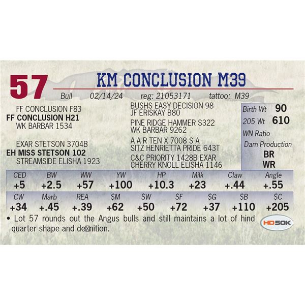 KM Conclusion M39