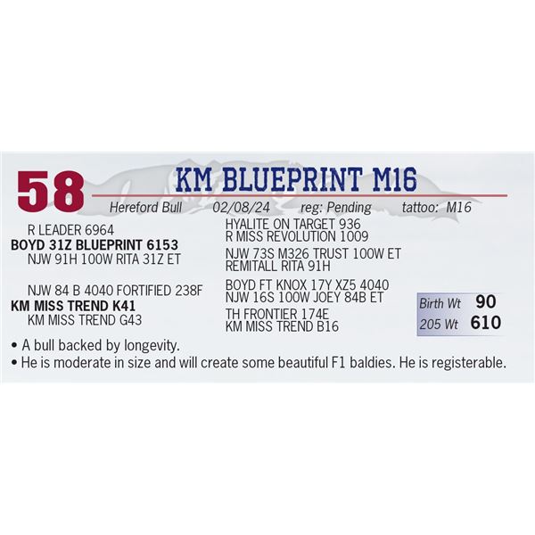 KM Blueprint M16