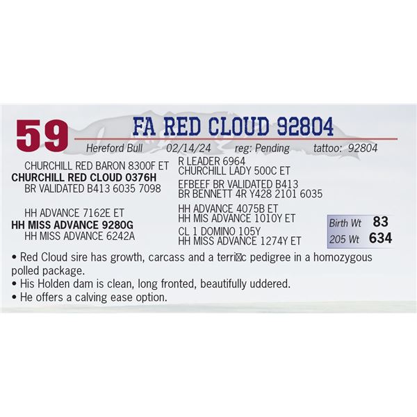 FA Red Cloud 92804