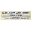 Image 1 : 23 Head bred Angus Heifers March Calving