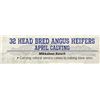 Image 1 : 32 Head bred Angus Heifers April Calving