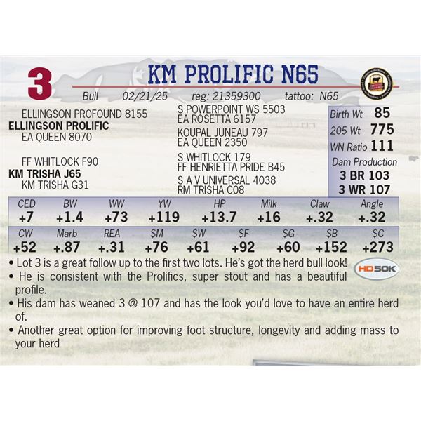 KM PROLIFIC N65