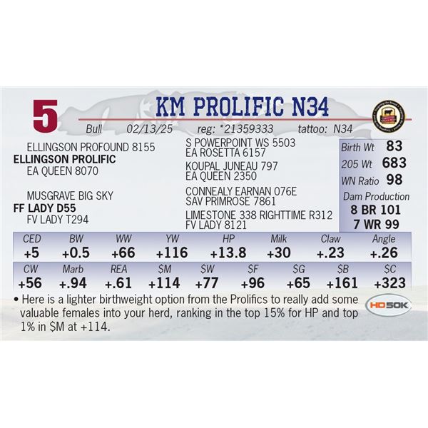 KM PROLIFIC N34