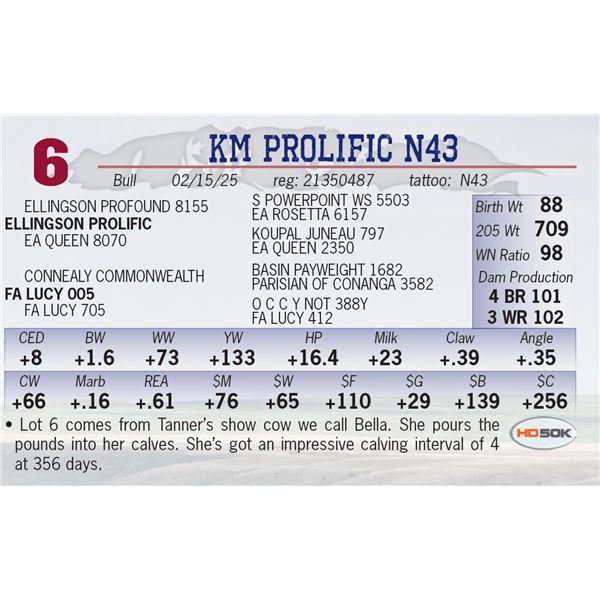 KM PROLIFIC N43