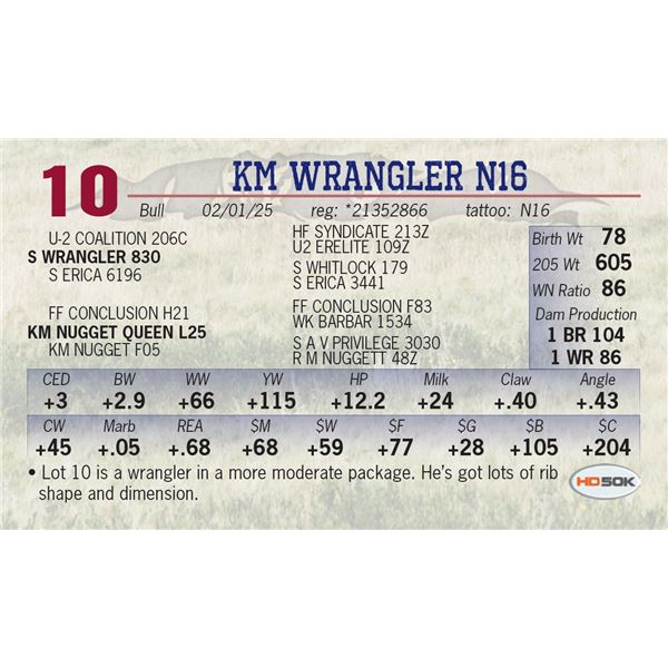 KM WRANGLER N16
