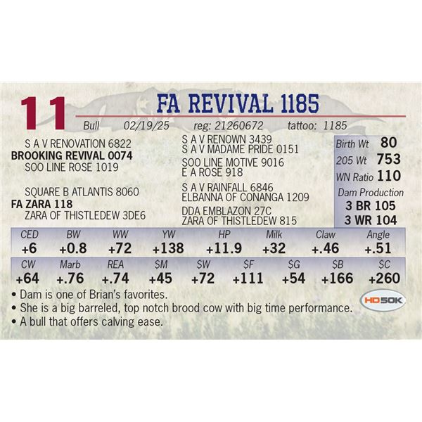 FA REVIVAL 1185