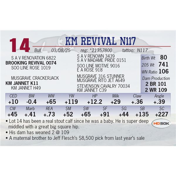 KM REVIVAL N117