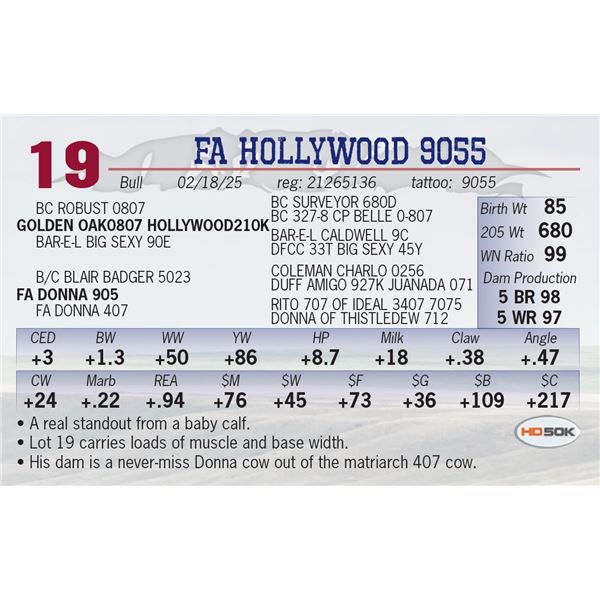 FA HOLLYWOOD 9055