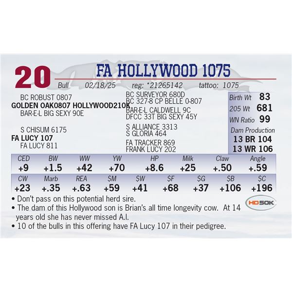 FA HOLLYWOOD 1075