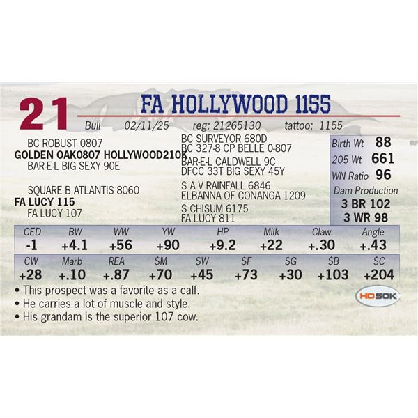 FA HOLLYWOOD 1155