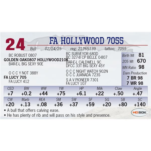 FA HOLLYWOOD 7055