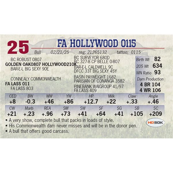FA HOLLYWOOD 0115