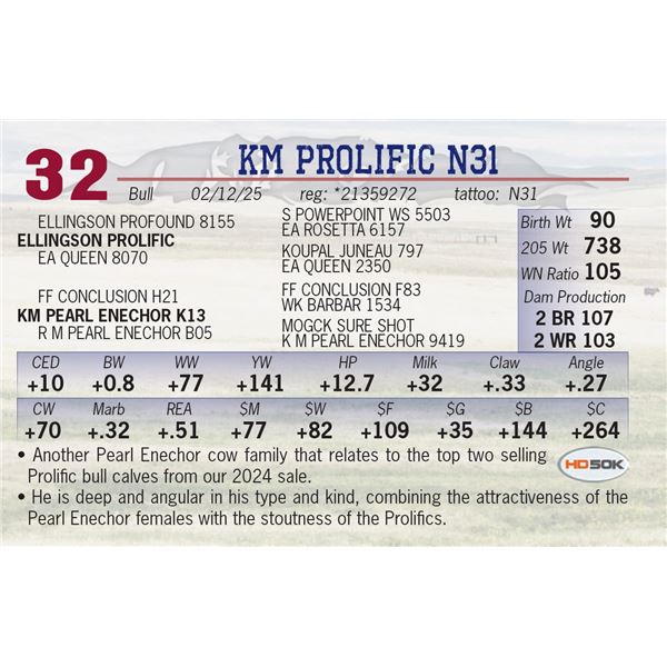 KM PROLIFIC N31