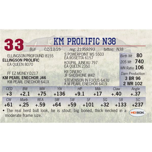 KM PROLIFIC N38