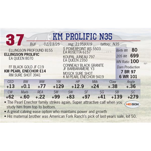 KM PROLIFIC N35