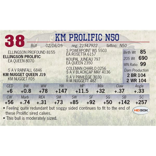 KM PROLIFIC N50