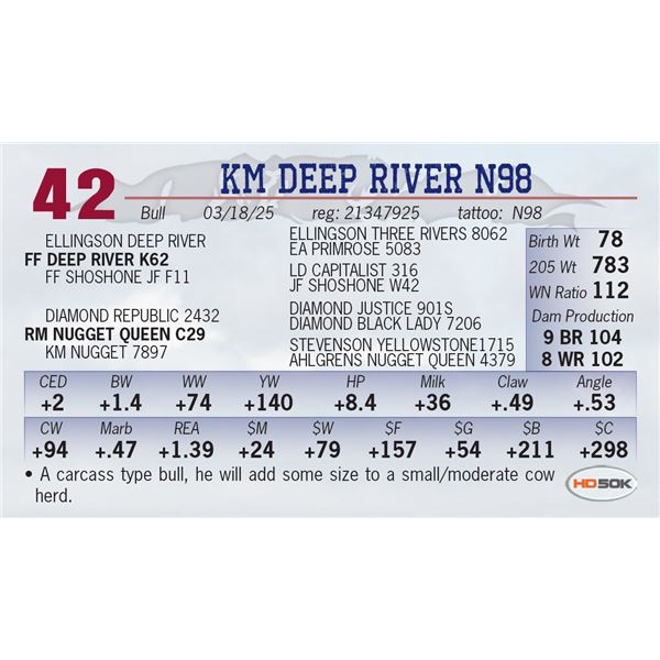 KM DEEP RIVER N98