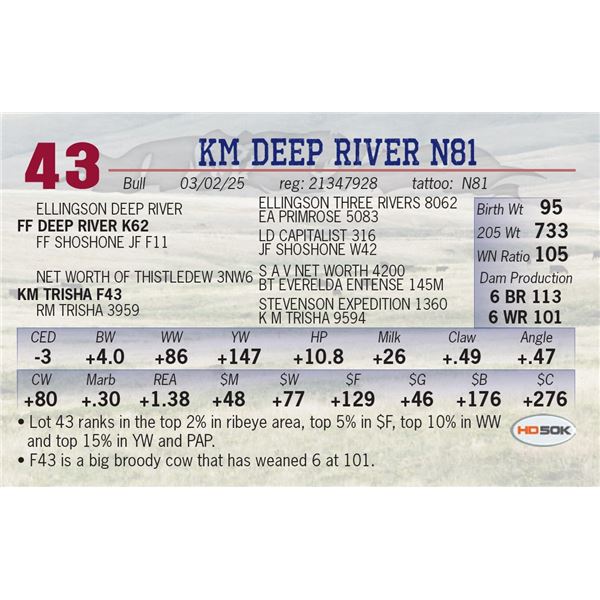 KM DEEP RIVER N81