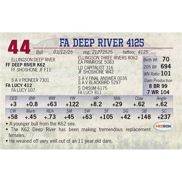FA DEEP RIVER 4125