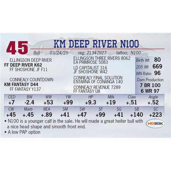 KM DEEP RIVER N100