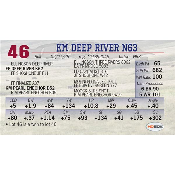 KM DEEP RIVER N63