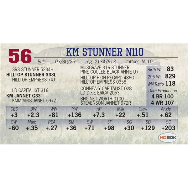 KM STUNNER N110