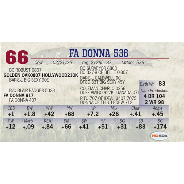 FA DONNA 536