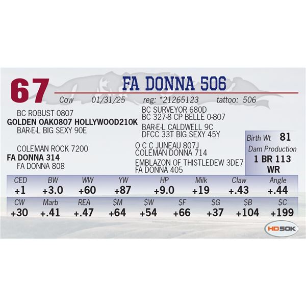 FA DONNA 506