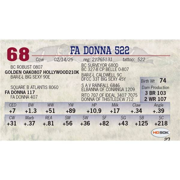 FA DONNA 522