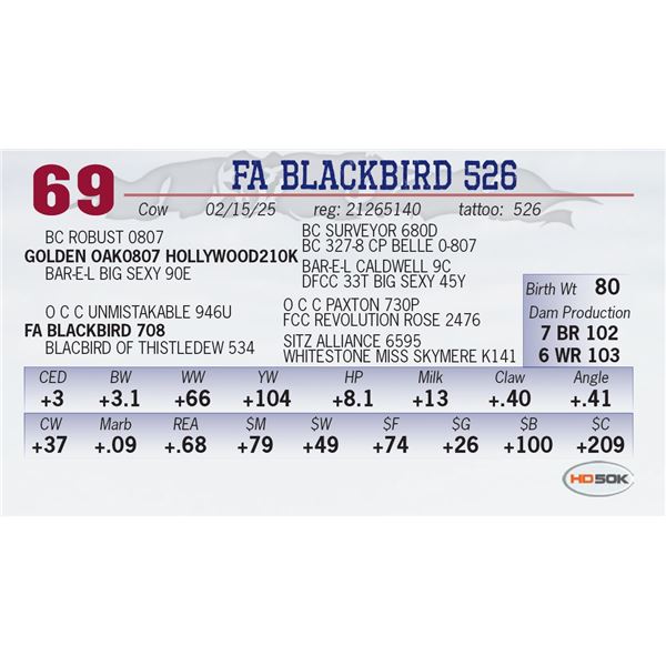 FA BLACKBIRD 526