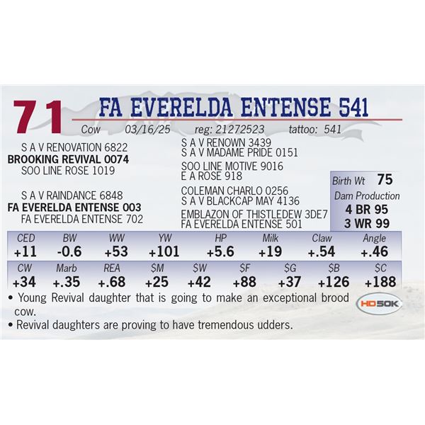 FA EVERELDA ENTENSE 541