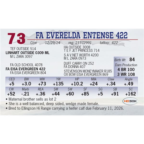 FA EVERELDA ENTENSE 422
