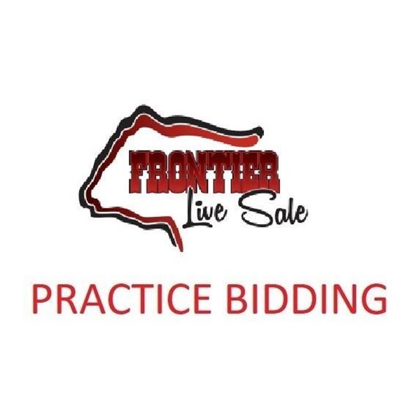 PRACTICE BIDDING HERE