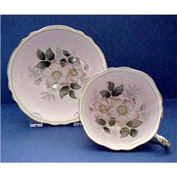 Paragon Tea Cup & Saucer - Wild Roses #2242263