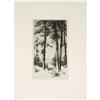 Image 1 : Woiceske R.W Pines in Winter  Original etching #2255022