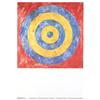 Image 1 : Jasper Johns Target #2255568