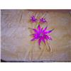 Image 1 : Fushia Colored Large Pin & Earrings #2256168