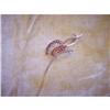Image 1 : 18K Gold Pin w/Amber Colored Rhinestones #2256169