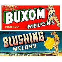VINTAGE CRATE LABELS * 17 OLD VINTAGE #2256271