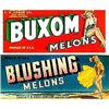 Image 1 : VINTAGE CRATE LABELS * 27 OLD VINTAGE #2256272