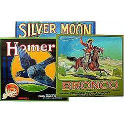 RARE CRATE LABELS * 10 OLD VINTAGE RARE CITRUS #2256273