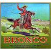 Image 1 : VINTAGE CITRUS LABELS * 25 OLD VINTAGE WESTERN #2256275