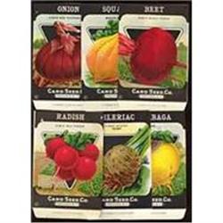 NY VINTAGE SEED PACKS * 25 OLD VINTAGE #2256293