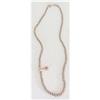 Image 1 : JAPANESE TOY NECKLACE #2256684