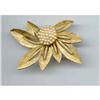 Image 1 : SALE AN Signed. Pin #2256807