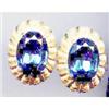 SALE Brilliant Blue Stone Earring  Screw Backs #2256858