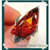 Image 1 : Lofty attributes of GENUNE  Baltic Amber#2257436