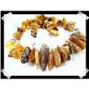 Image 1 : Massive Mutli Colored BALTIC Amber #2257557