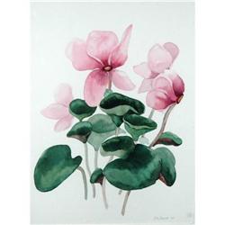 Watercolor Painting of Cyclamens -M.Davis  #2266377