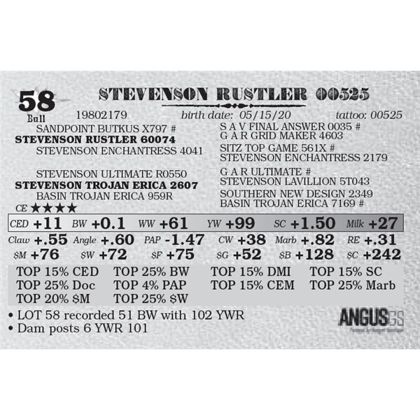 STEVENSON RUSTLER 00525